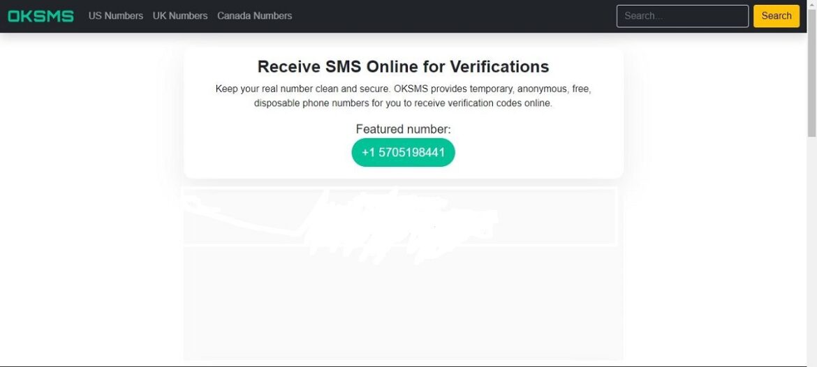 OKSMS Way to Verify Numbers Online Features, Alternative, Pros & Cons