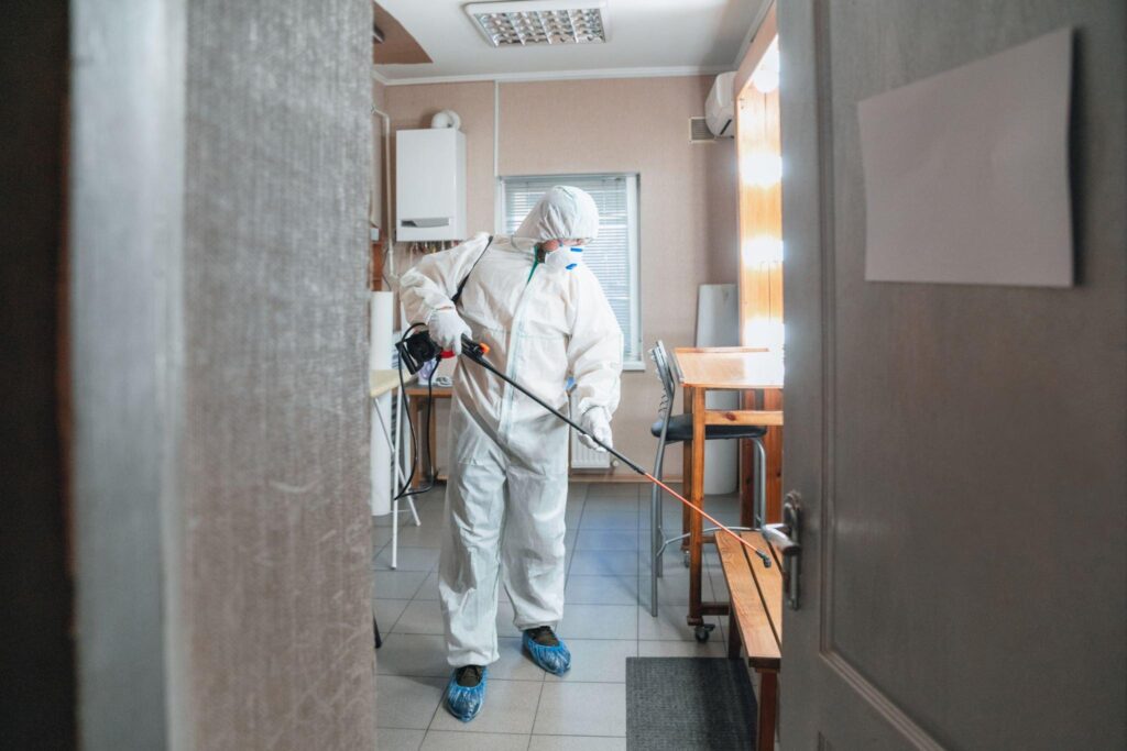 Mold Remediation Toronto